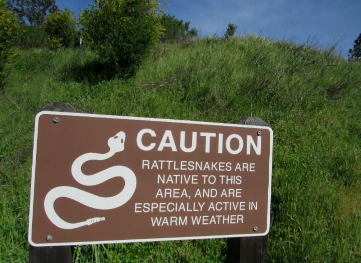 Rattlesnake Sign